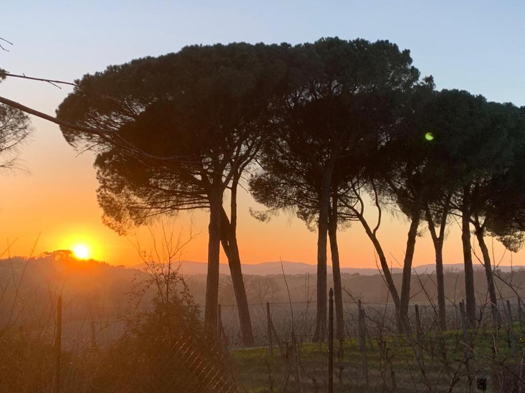 San Martinello Villa Perugia Eksteriør billede