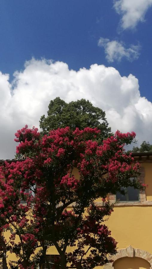 San Martinello Villa Perugia Eksteriør billede